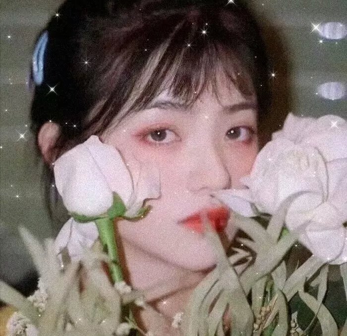 辛迪不爱我